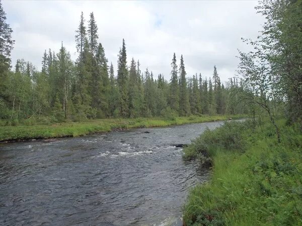 Р курга. Река курга мурманская область. кургу.