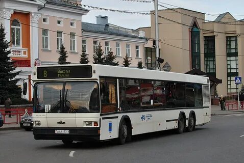 12 автобус гомель