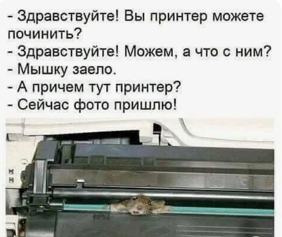 Принтер долго думает. Принтер прикол. Шутки про принтер. Смешной принтер. Мышку заело в принтере.