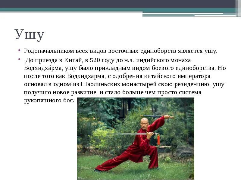 Восточные единоборства влияние на развитие организма. Единоборства характеристика. Боевой вид искусства ушу. Айкидо. Влияние единоборств на организм человека.