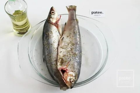 Рыба пелядь в духовке