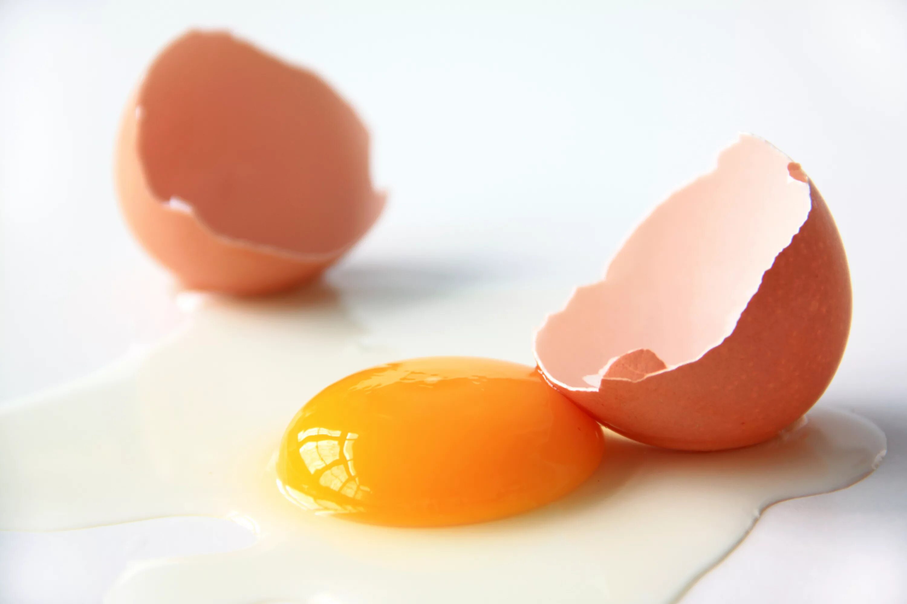 Белки яиц купить. Яичный желток. Яйцо, желток, скорлупа, Egg, yolk, Shell. Яйца белки. Яйцо с трещиной.