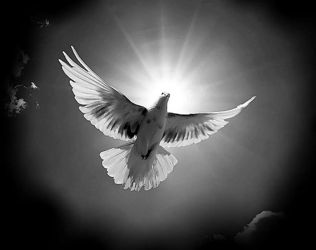 облака для гравировки на памятнике. астрофото xiaomi. дорога в рай. обратная сторона неба. жизненная дорога.