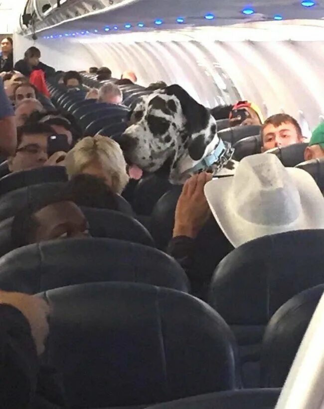 Made in flight