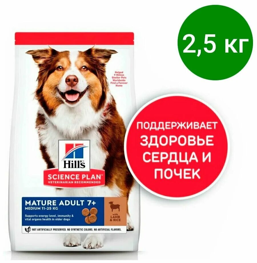 Hill's science plan для собак мелких пород. корм для собак hill s. корм для собак hill s. корм hills science plan для собак. корм хиллс для щенков мелких пород.