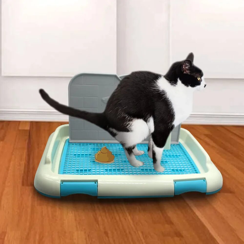 Туалет-лоток ferplast magix 72059099. Туалет-лоток для кошек moderna "comfy step", 57x42x25 см. Удобный лоток для кошки. Туалет для кошек cat litter. Удобный лоток для кошки.