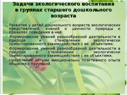 Задачи воспитания и обучения старшей группы