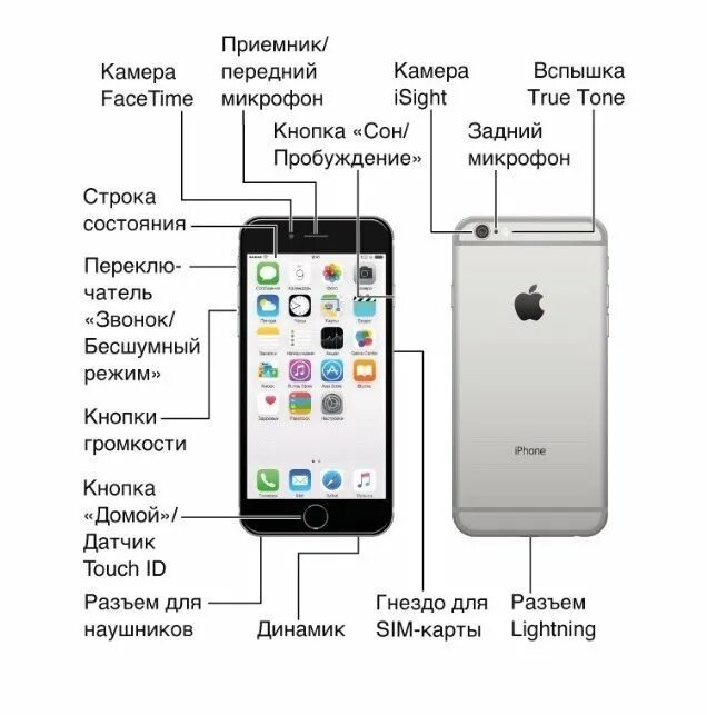 Как пользоваться iphone. Инструкция iphone айфон. Расположение кнопок на айфоне 6. Руководство по айфону. Iphone 6s инструкция.