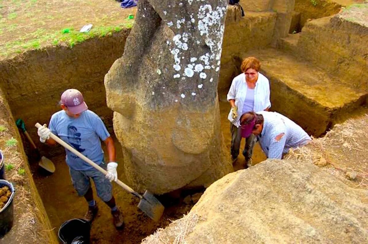 Dig up i. Корпоративный антрополог. i-dig-archaeology. antropolog mayer. dig up.