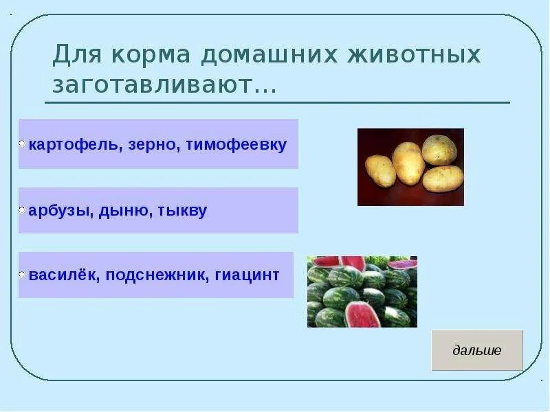 Тест на тему животноводство 3 класс окружающий. Для корма домашних животных заготавливают. Презентация по окружающему миру 3 класс животноводство. Корм домашних животных 3 класс. Корм для домашних животных для презентации.