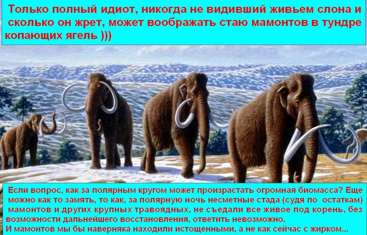 Видевший или видивший как