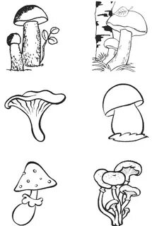 Как нарисовать рисунок гриба