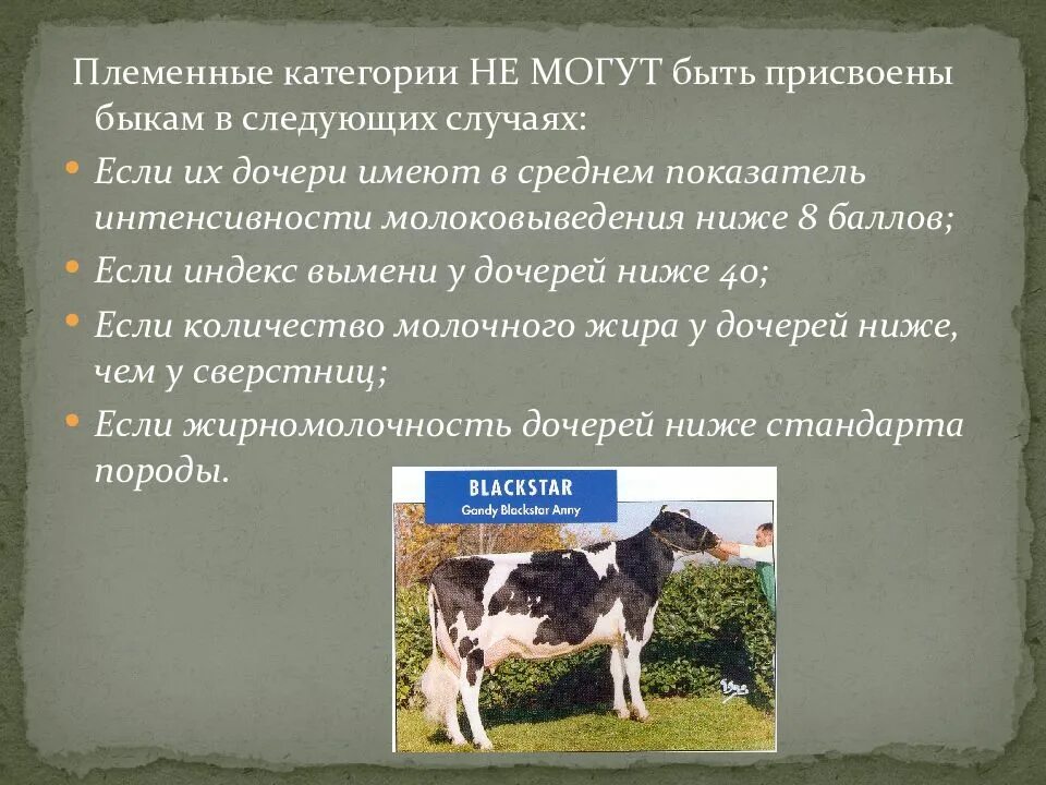 Оценка быков производителей. Оценка Быков по качеству потомства. Что такое селекционно племенная работа КРС. Бонитировка Быков производителей. Оценка племенных качеств животных.