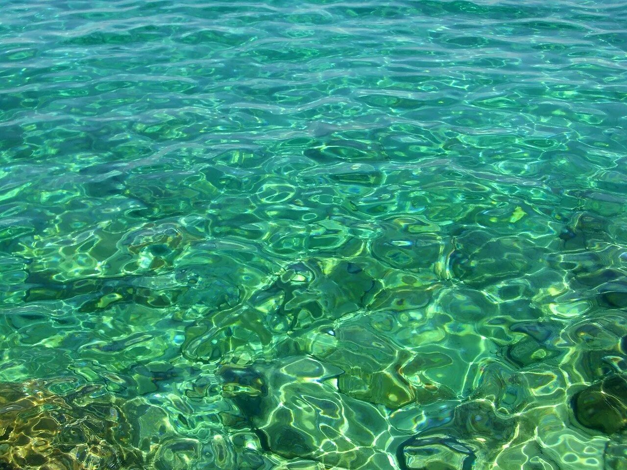 Прозрачная вода. Прозрачное море. Зеленое море. Море вода. Прозрачная зеленая вода