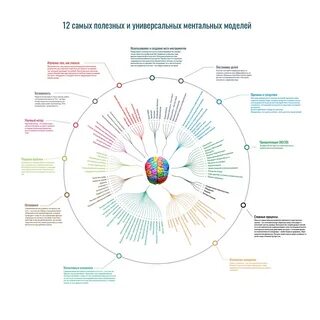 Когнитивно ментальная сфера