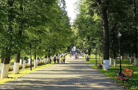 Парки владимира