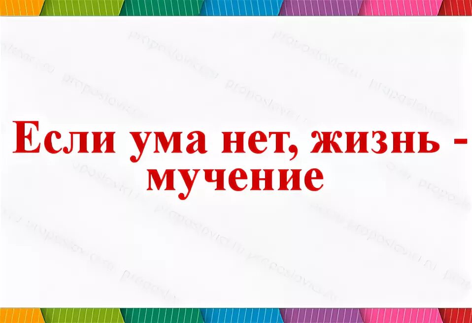 Ума нет. Если нет ума. Пословица ума нет. Ума не надо пословица.