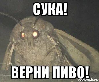 Найди верну