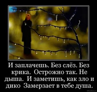 Душа замерзла и кричит мне одиноко песня