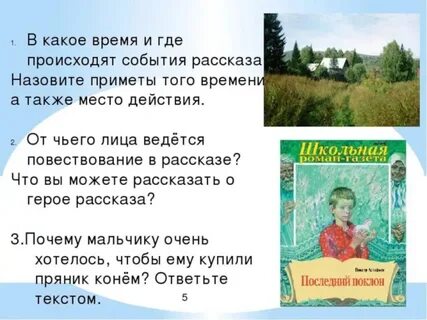 Описание саньки