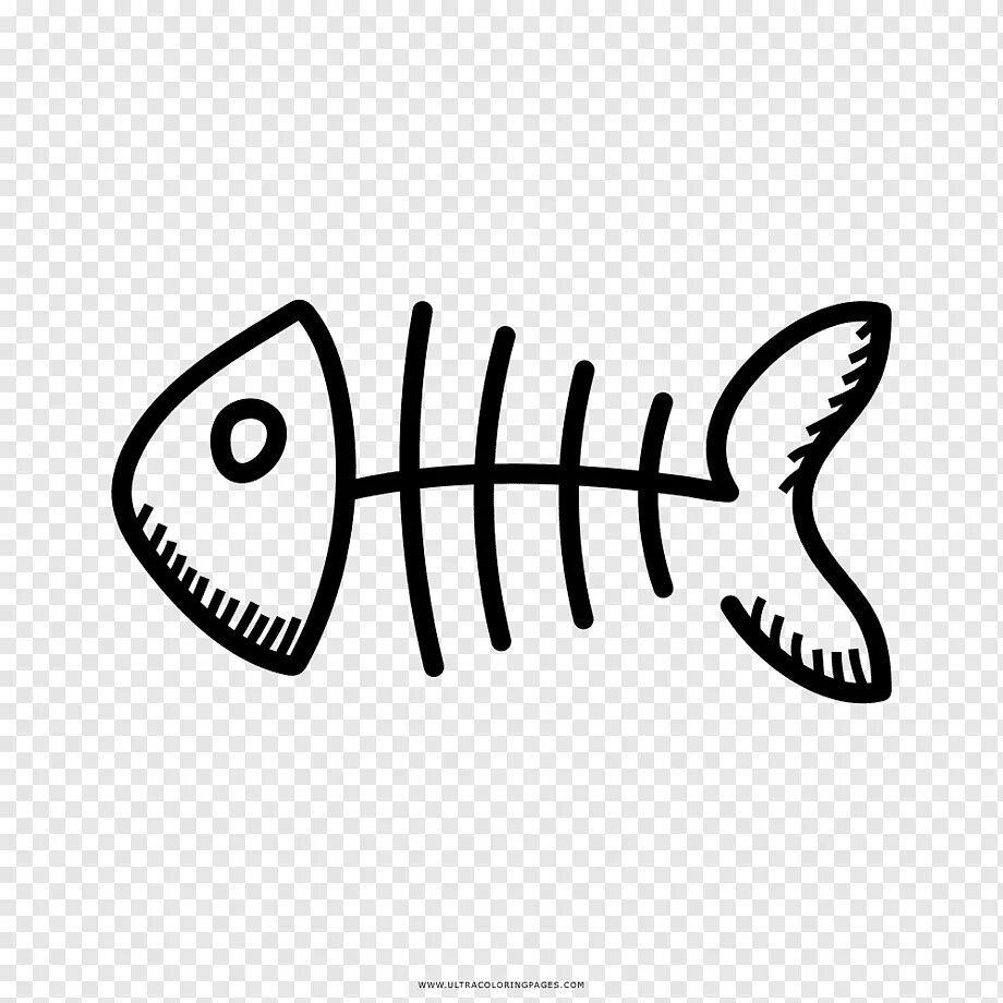 Скелет рыбки. Рыбий скелет. Скелет рыбки. Рыбья кость. Рыбьи кости.