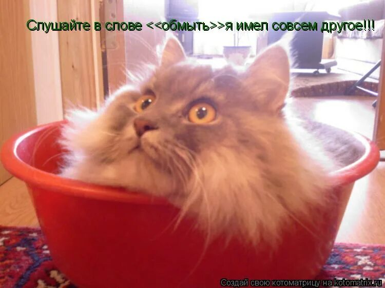 и имеющая не совсем. если бы космонавты могли взглянуть тогда. слова которые раньше имели другое значение. и имеющая не совсем. смешные шутки про звёзды.