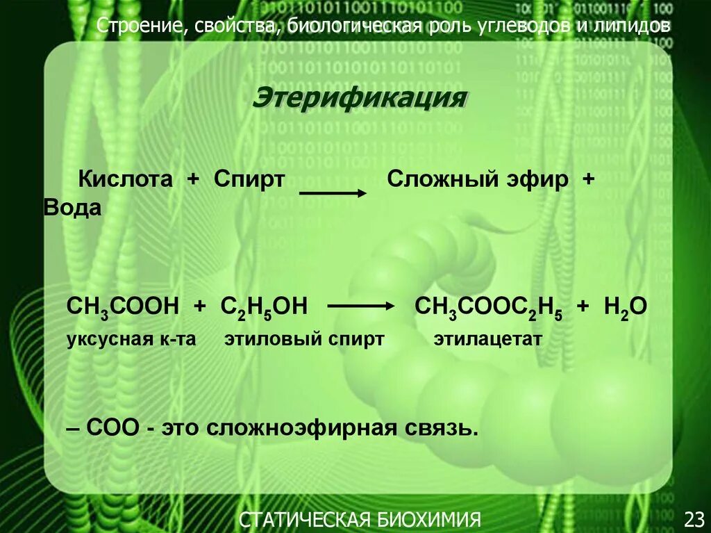 Биохимические свойства углеводов. Этилацетат биологическая роль. Сн3сн2соон. Биологическая роль этанола. Сн3 сн3 2 соон