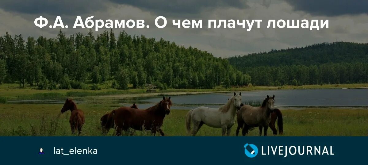 Абрамов о чем плачут лошади читательский дневник. О чём плачут лошади. Рассказ о чем плачут лошади Абрамов. Книги Федора Абрамова о чем плачут лошади.