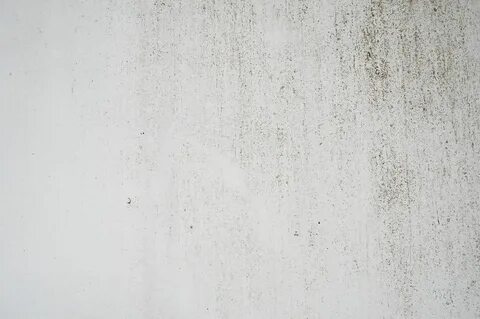 White rust