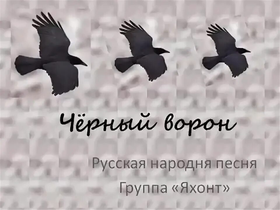 яхонт черный ворон. группа яхонт красноярск черный ворон. ворон любэ. группа яхонт песня черный ворон. яхонт черный ворон слушать.