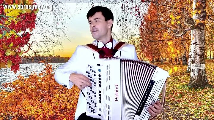 Горчит калина. Калина. Калины куст авторы. Калины куст авторы. Калины куст авторы.