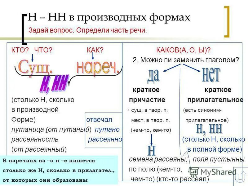 Правописание н в разных частях речи. Производные прилагательные. Производные прилагательные русский. Н И НН В причастиях и прилагательных и других частях речи. НН В прич и нареч.