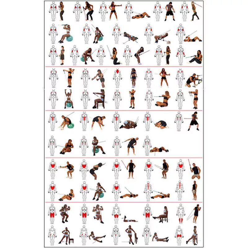 Программа тренировок с резинками для мужчин. Упражнения с эспандером. Занятия с резиновым эспандером для мужчин. Программа тренировок с эспандером. Комплекс упражнений для женщин с эспандером для грудных мышц.