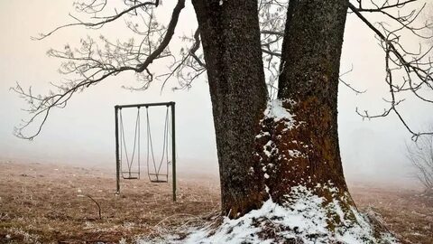 Поля пустые леса недавно столь густые