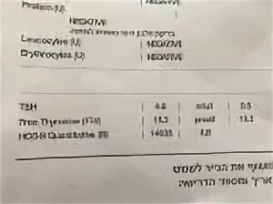 Ттг при беременности 1 триместр