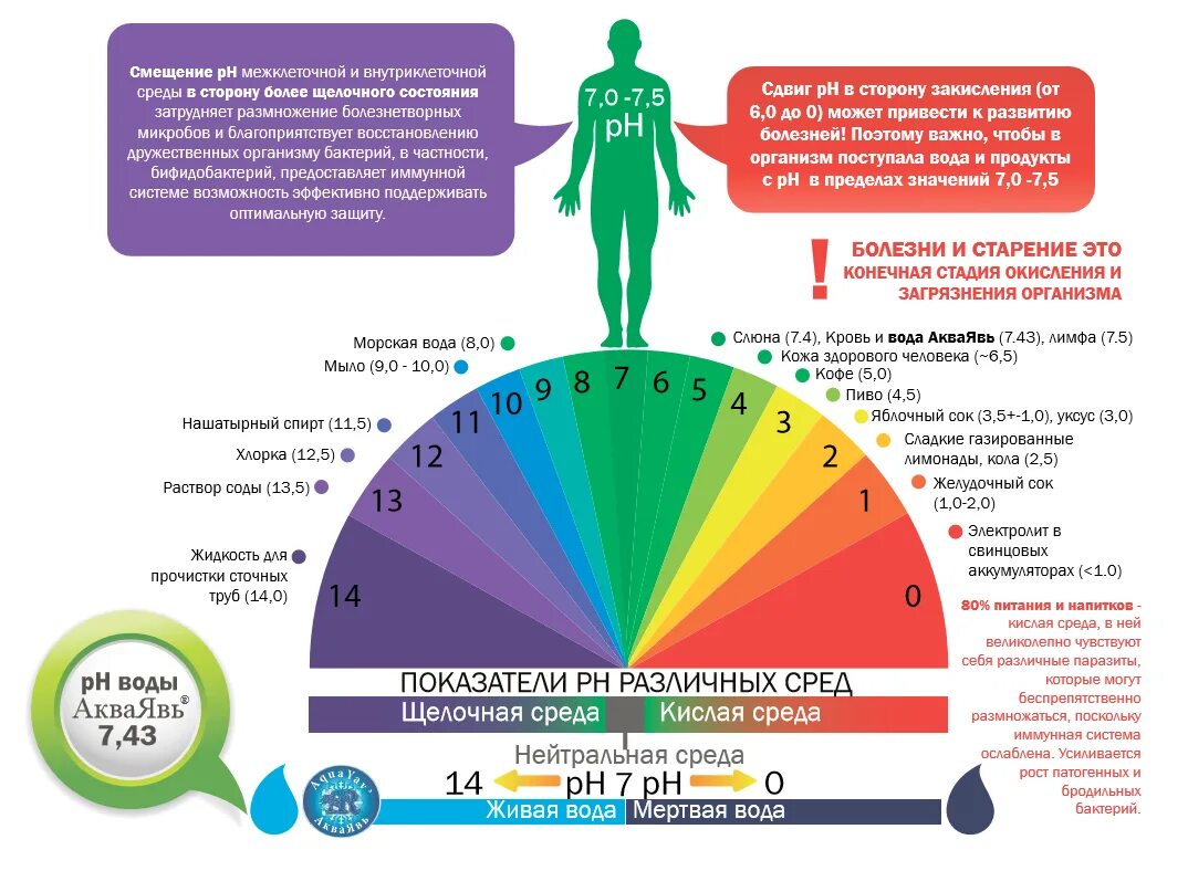Болезни при кислотности. РН кислотно-щелочной баланс. PH среда в организме человека. Щелочная среда организма РН. PH кислотно щелочной баланс.