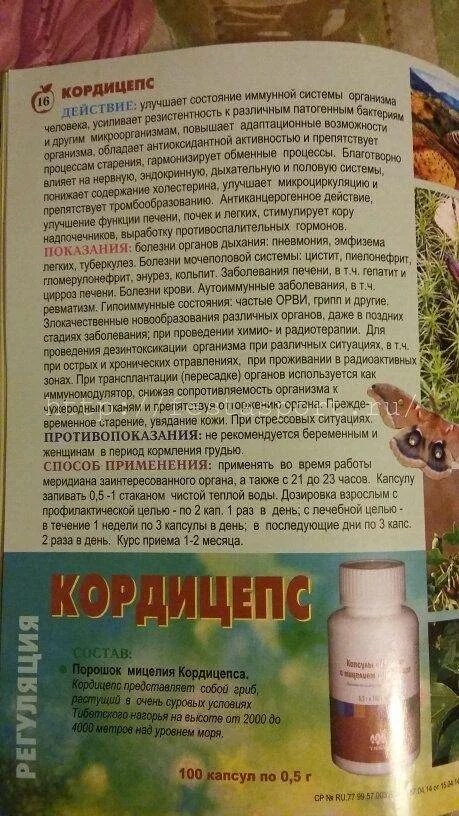 Cordyceps инструкция. Кордицепс. Кордицепс состав. Кордицепс как применять. Кордицепс характеристики.