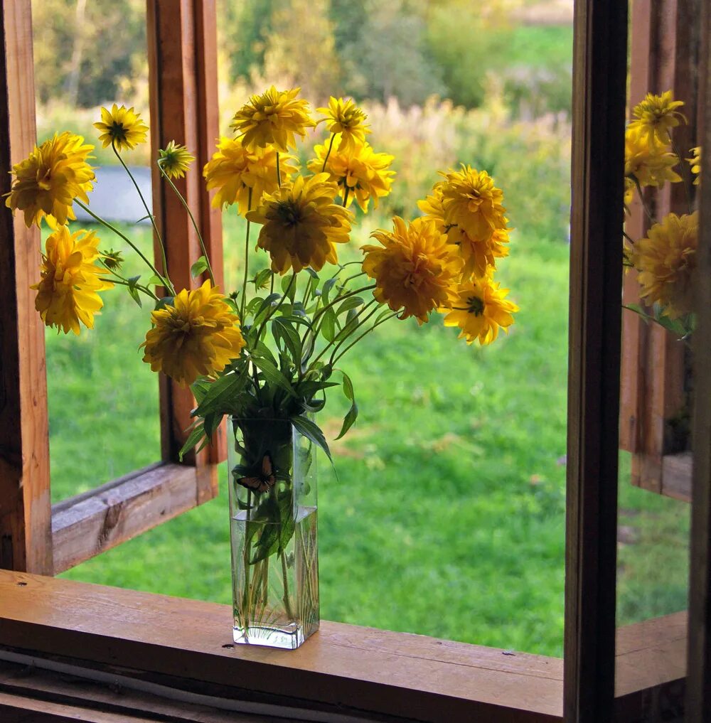 цветы в вазе на окне. хризантемы на зимнем окне. хризантема индийская осенний букет. хризантемы на окно. осенние цветы на окне.