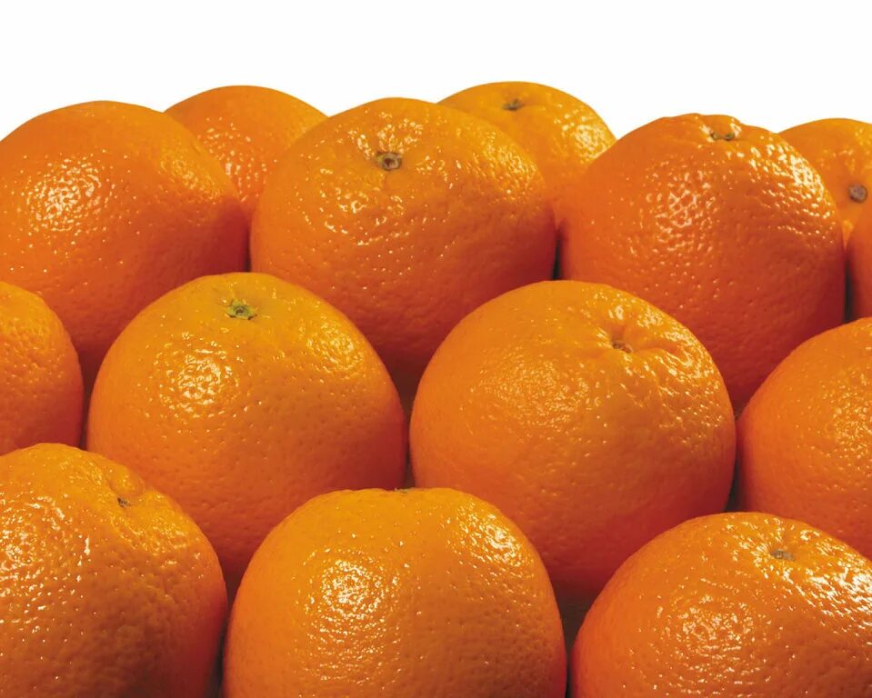 худший поступок гора апельсинов