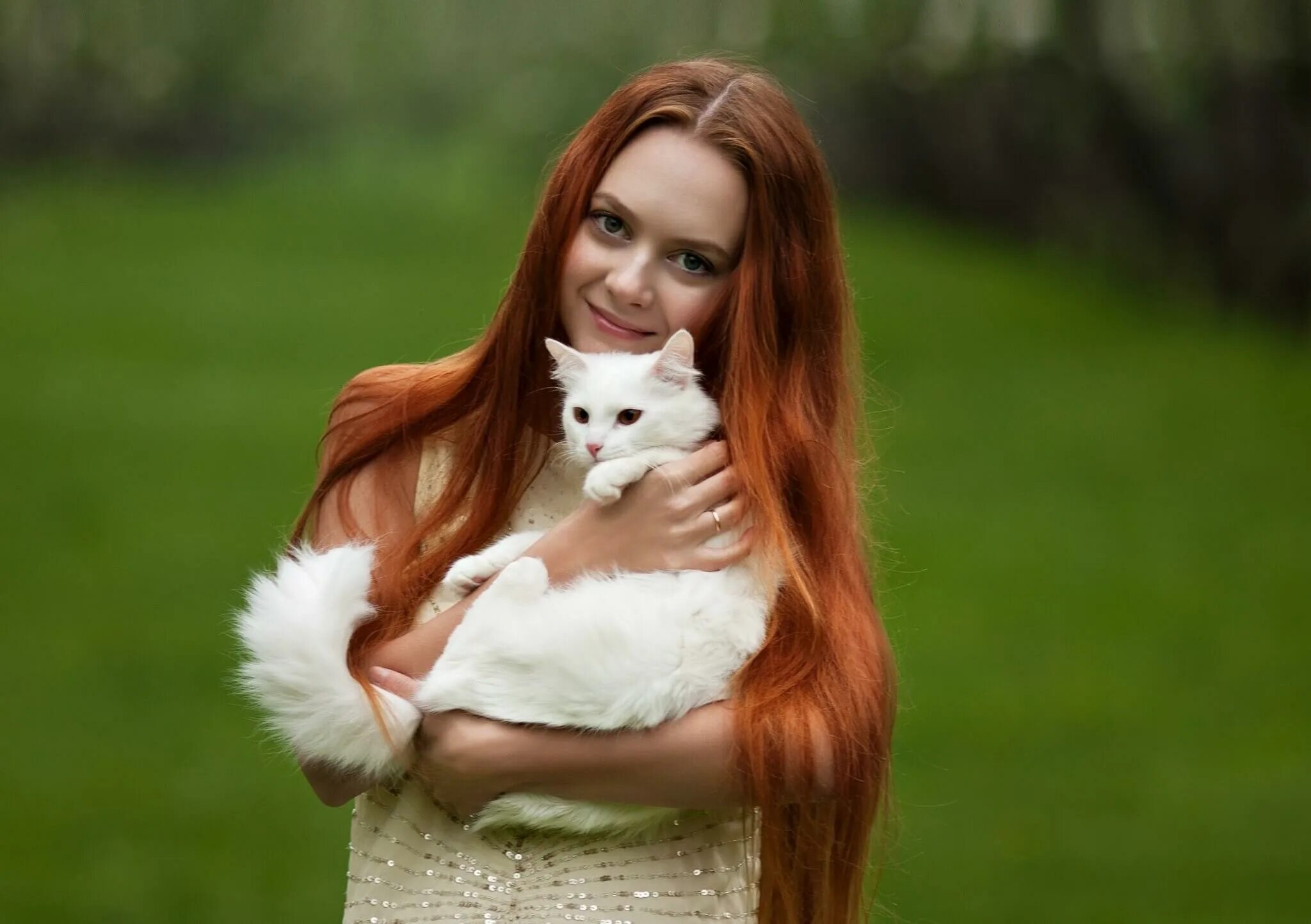 Девочка с белым котом. Девушка с котиком. пушистая девушка. рыжеволосая девушка с котом. девушка с рыжим котом.