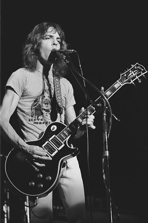 Питер фрэмптон фото Peter Frampton Peter frampton, Music people, Frampton comes alive