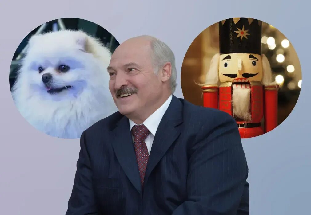 Лукашенко и шпиц умка. Шпиц умка лукашенко. шпиц лукашенко в большом театре. шпиц лукашенко на столе. шпиц лукашенко фото.