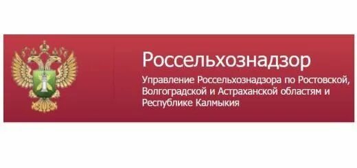 Сайт управление россельхознадзора. Россельхознадзор. баннер россельхознадзора. россельхознадзор волгоград.
