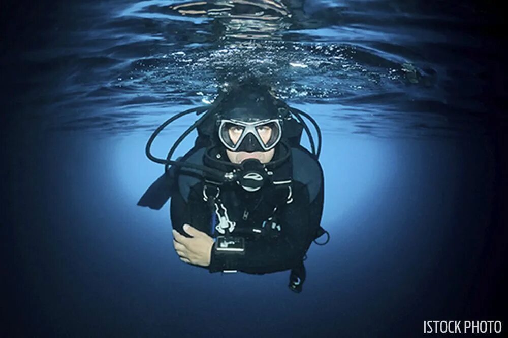 Dive want
