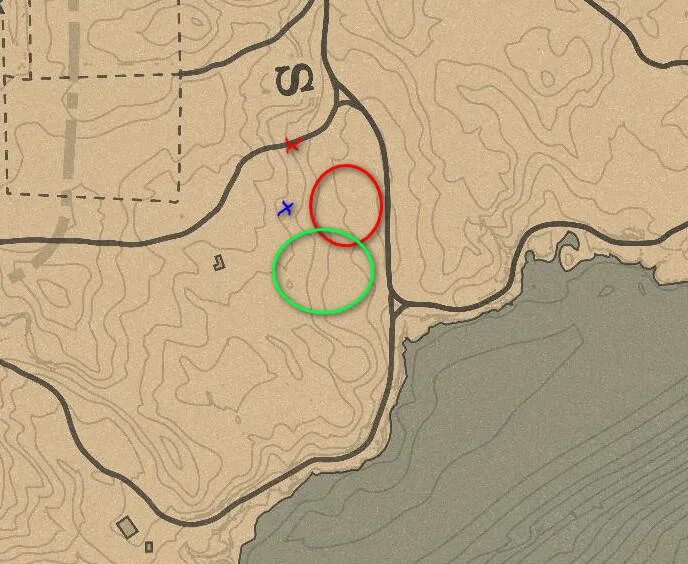 Превосходная пантера рдр 2. Rdr 2 пантера на карте. red dead redemption 2 пантера на карте. ред дед редемпшн 2 легендарная пантера. пантера рдр 2.