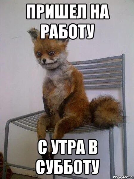 Пожалуйста работы. Пожалуйста работы