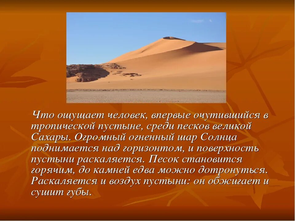 В зоне пустынь большие пространства занимают