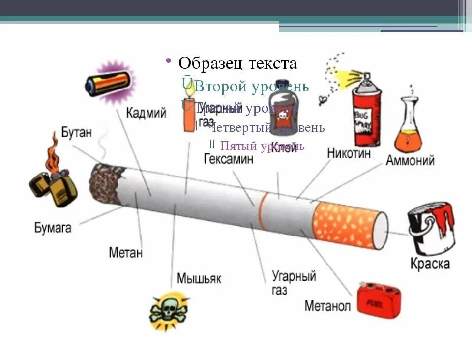 Что содержит никотин. Состав сигареты. Из чего состоит сигарета. Части сигареты. Строение сигареты.
