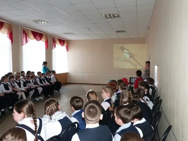 директор школы 4 борисоглебск. школа номер 4 борисоглебск. борисоглебск воронежская область школа. школа 12 борисоглебск. 11 школа борисоглебск.