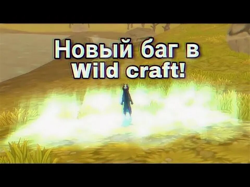 Баг в вилд. Новый баг в вилд крафт. Баги в вайлд крафт. Вилд крафт баги 2023. Баг на полет в вайлд крафт.